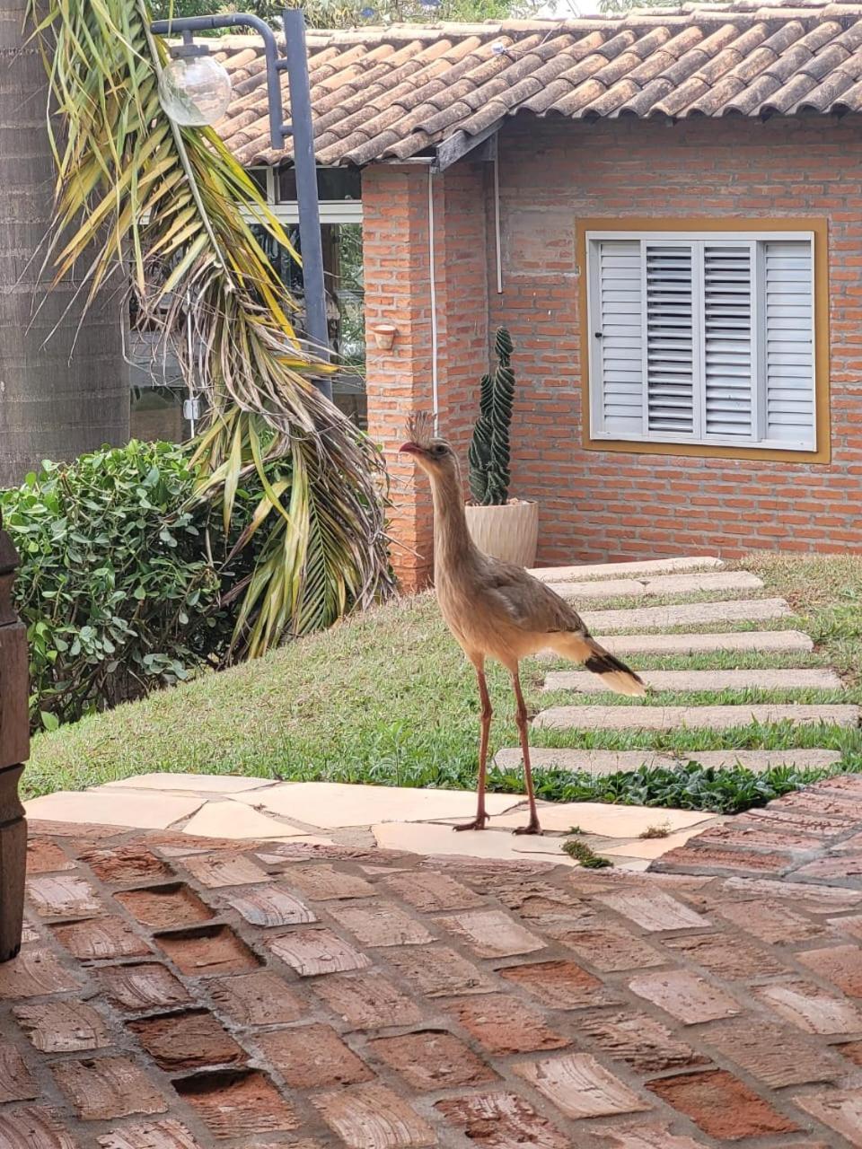 Pousada Do Lago Dutra Guape Exterior photo